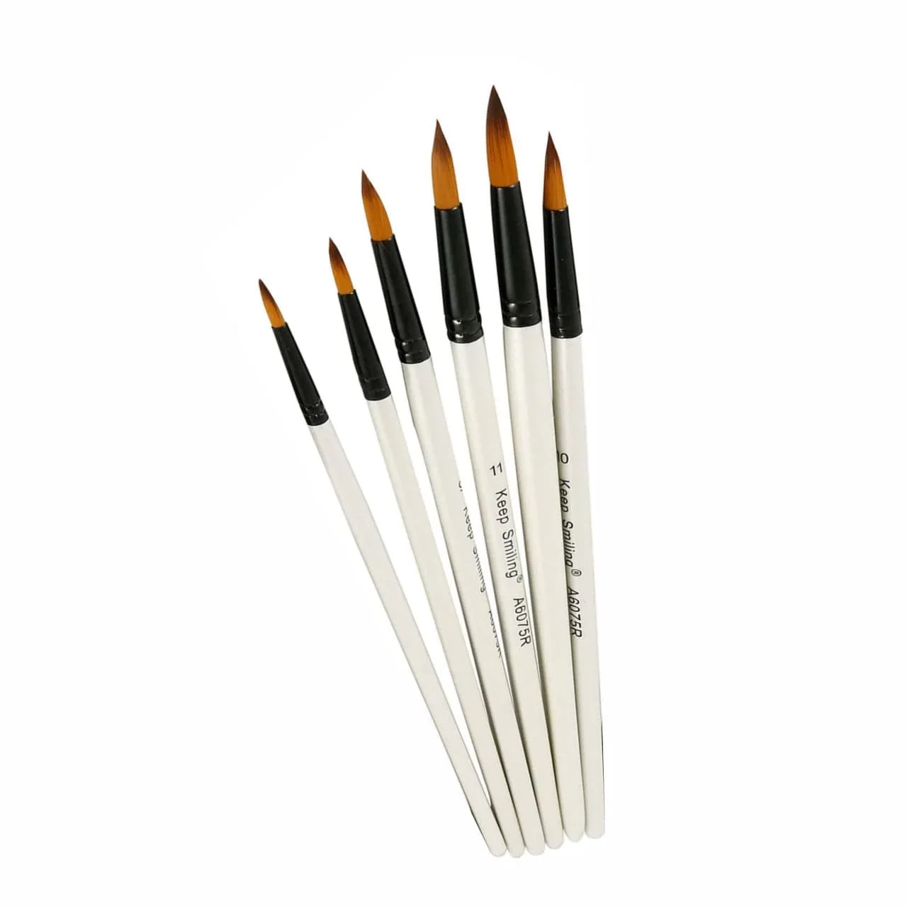 Paint Brushes Pack of 6