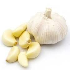 Garlic(لہسن)