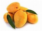 Saharni Mango( سحرنی آم)